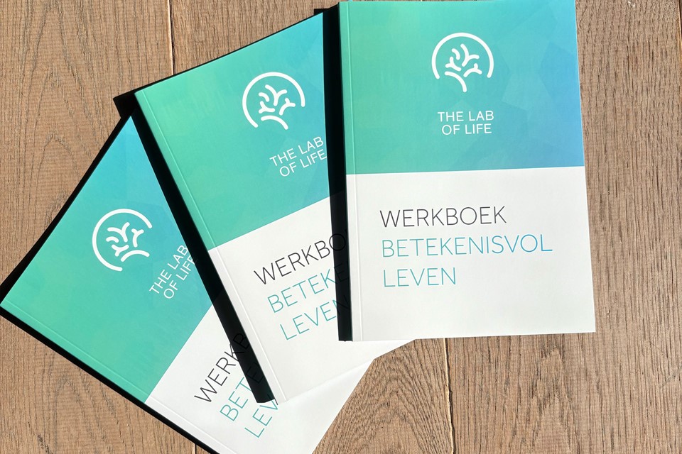 https://www.thelaboflife.com/write/Afbeeldingen1/Nieuwe website/Werkboekje Betekenisvol Leven.jpg?preset=content